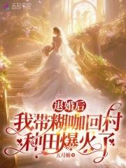 宅斗精英穿现代