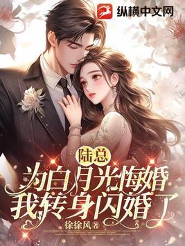 我的妖孽小姨子